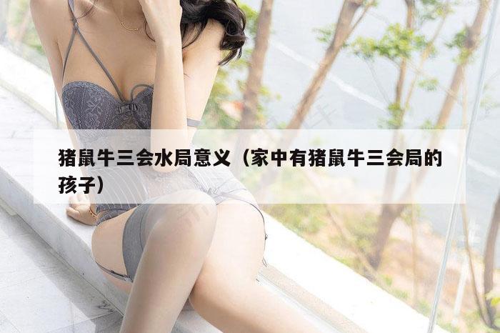 猪鼠牛三会水局意义（家中有猪鼠牛三会局的孩子）