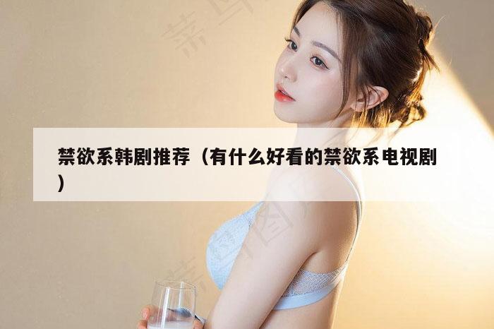 禁欲系韩剧推荐（有什么好看的禁欲系电视剧）